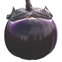 aubergines - history, production, trade